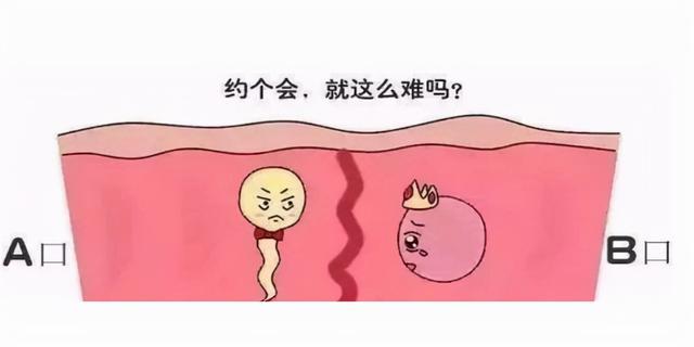 四川成都供卵试管婴儿只移植冷冻胚胎的费用是多少？