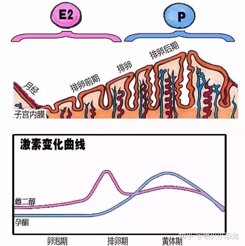 借卵试管婴儿成功提示。在确认怀孕之前就开始保存生育能力，这里有一个大问题!