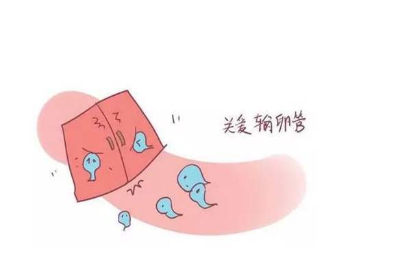 专家：胚胎做体检供卵试管婴儿成功率更高做供卵试管婴儿普遍优质胚胎移植成功