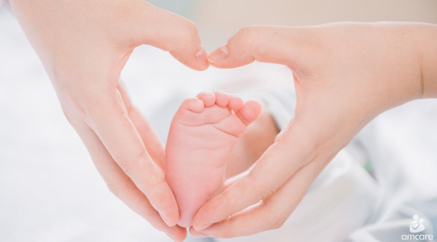 供卵生子代怀试管移植后可以吃鸭子吗-供卵生子自怀试管移植后可以吃鸭子吗