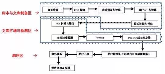 赠卵试管哪里代生前泡脚好吗