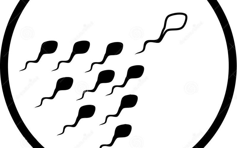 搜狐科学｜专家预测，未来10年供卵代生机构将筛选出最聪明的胚胎