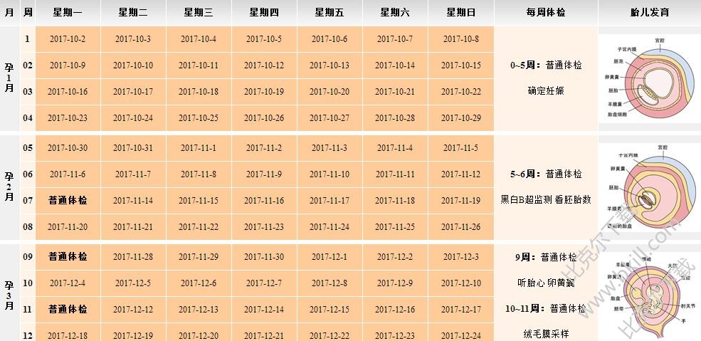 染色体异常的供卵代怀试管供卵成功率高