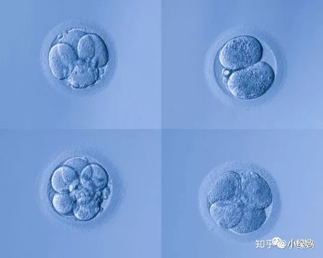 排卵期出血是怎么回事会不会影响妊娠