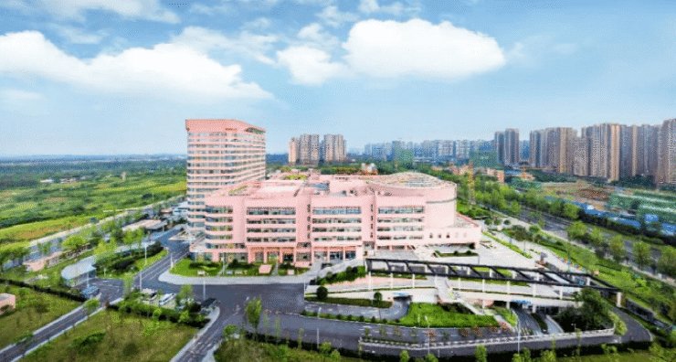 什么年龄适合做借卵试管婴儿