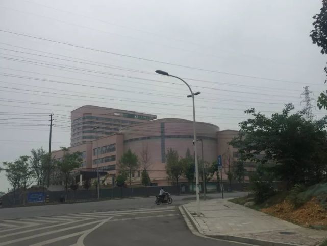 成都市人民医院借卵试管