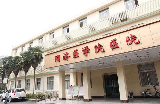 没有结婚证可以做借卵试管吗