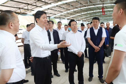 西囡医院做借卵试管婴儿哪个试管婴儿医生好
