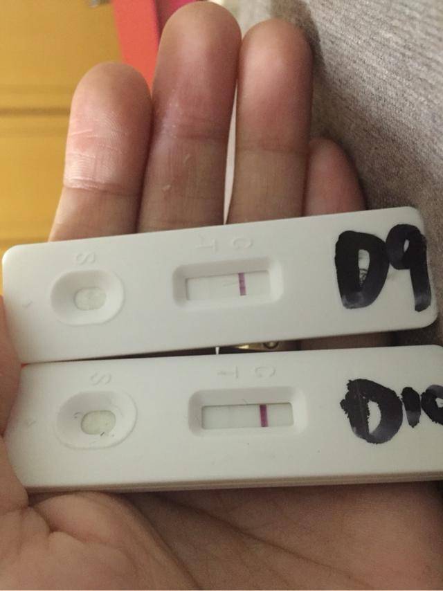 成都同志试管代怀成功案例几万？