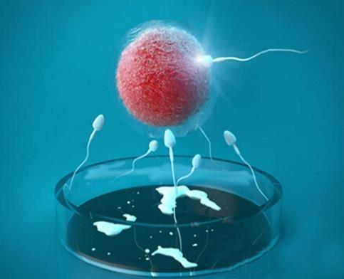 成都试管代怀妈妈哪里有(成都妇幼保健代怀试管选性别儿子试管攻略)
