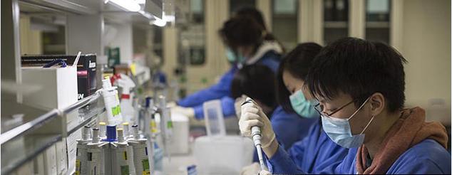 代生孩子2023移植后吃蛏子_二代自怀试管移植后饮食咋吃？