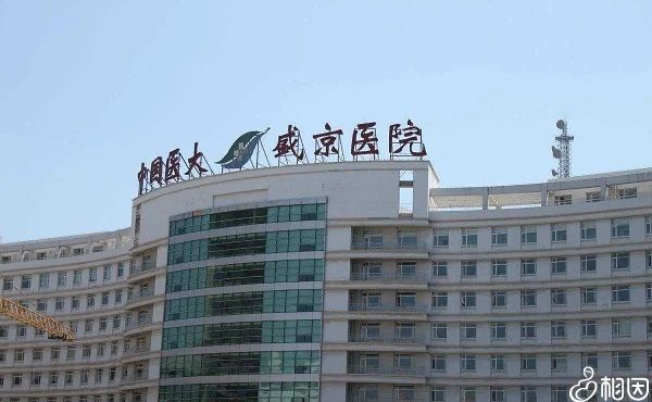 成都市做第三代代生子女成功案例龙凤胎费用要多少钱？十万够不够？