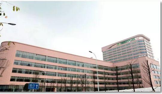 三代2023代生孩子电话适合哪些人群让怀孕变得简单