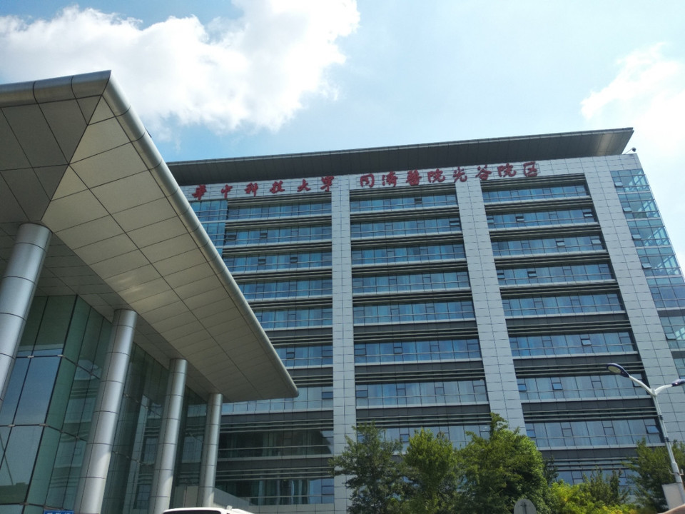 成都国内诚信试管代怀公司排名？附医院可以试管代怀吗明细？
