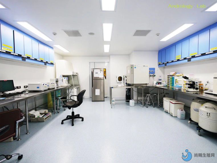 成都市bnh代怀包生男孩费用多少好孕攻略建议收藏