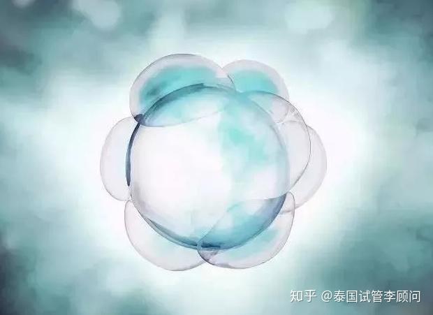 成都哪个医院做试管代怀双胞胎多少钱成都市哪里有人要代生孩子的双胞胎的费用