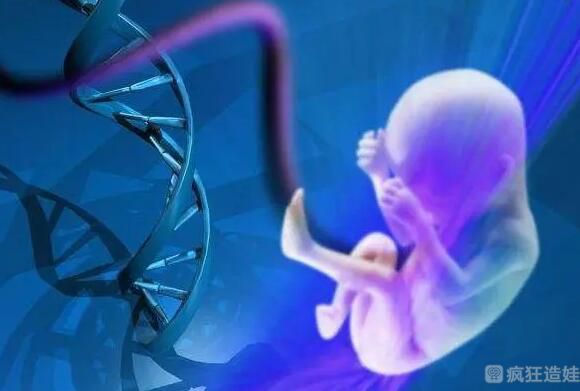 体外受孕代怀套餐鲜胚和冻胚移植的成功率