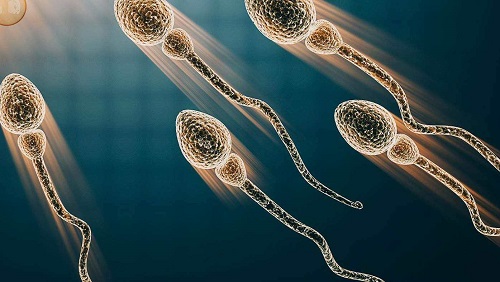成都代生孩子去哪好+降调和直接促的区别