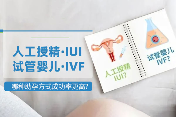 成都成都代生宝宝钱都花去哪里了+答案都在这