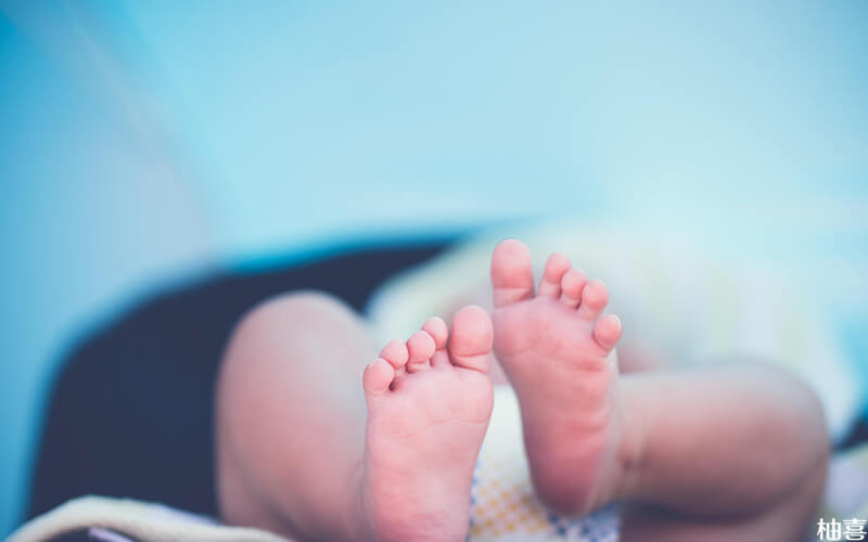 纽康特深度水解奶粉乳清蛋白配方维生素含量怎么样