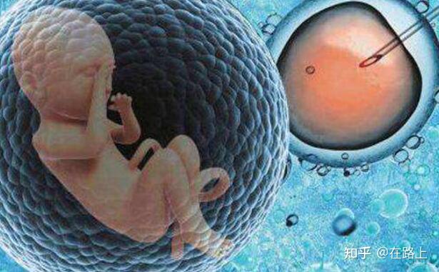 2024成都代怀试管生孩子机构婴儿最好的医院,试管医院详细攻略