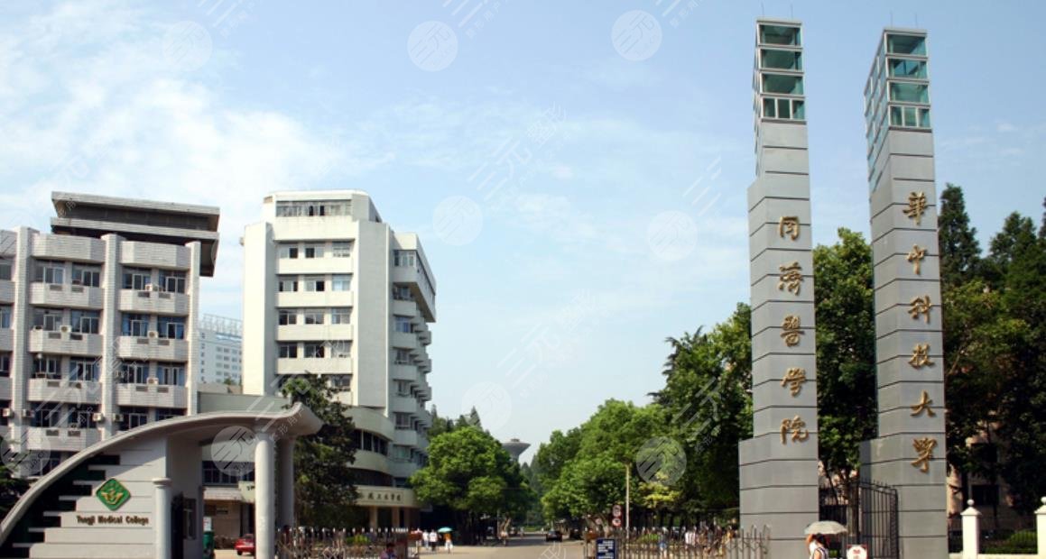 成都诺菲梵(LaVida)+试管+高、医生团队阵容强大