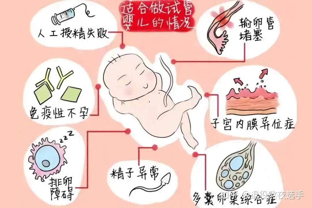 成都商业试管代怀要怎哪些产检_成都知名试管代怀网女方需要检查哪些+