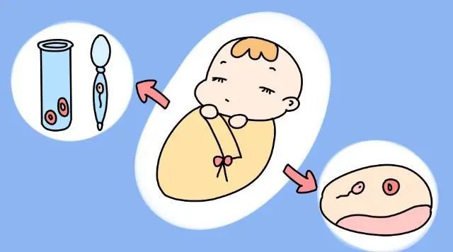 2024成都供卵试管代怀推荐婴儿哪个医生最好