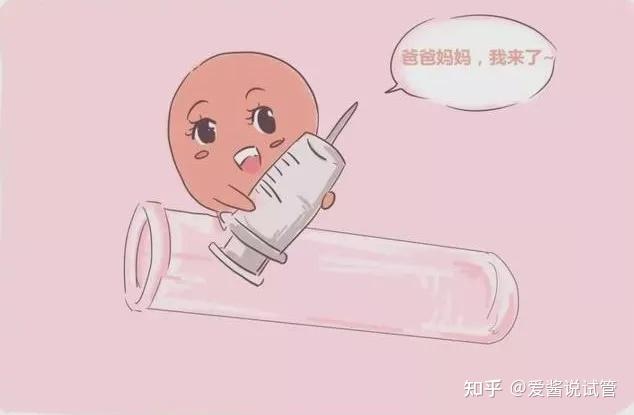 2024成都供卵试管代怀推荐婴儿哪个医生最好