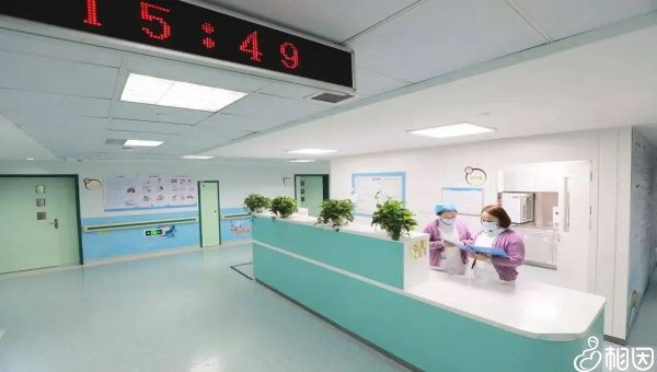 医院能试管代怀试管机构婴儿吗盛海琳60岁产下双胞胎现状如何