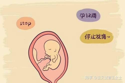 2024年做成都生二胎找供卵费用会比去年更贵吗2024年成都机构代生孩子费用会涨价吗