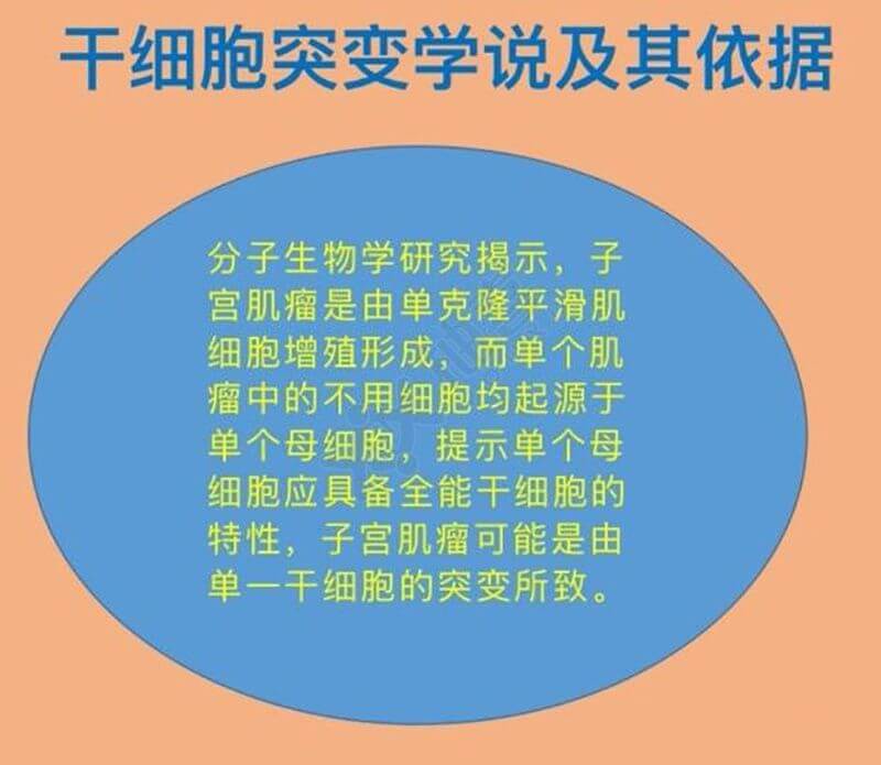 试管冻胚和囊胚哪个成功率要高些,为什么医生移植先考虑后者
