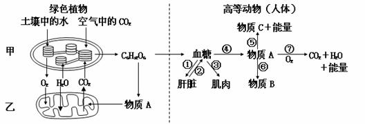 “做试管选性别”和“人工授精”不一样,千万别混淆!